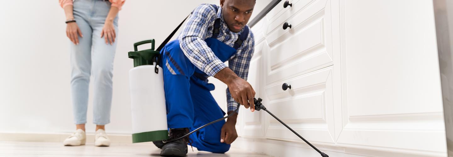 End of Lease Pest Control Sydney cover photo