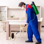 End of Lease Pest Control Sydney - photo 2