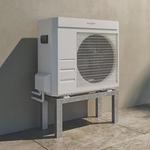 Marigold Eco - photo 1