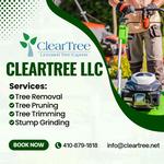 ClearTree LLC - photo 1