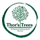 Thor's Trees - Tree Services in Enfield