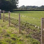 L and N Fencing LLC - photo 8