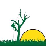 Luca Tree Service - Tree Services in Peabody