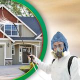 Morris Wasp Removal Sydney