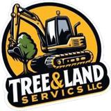 Tree Stump Removal and Excavation - Tree Services in Norfolk