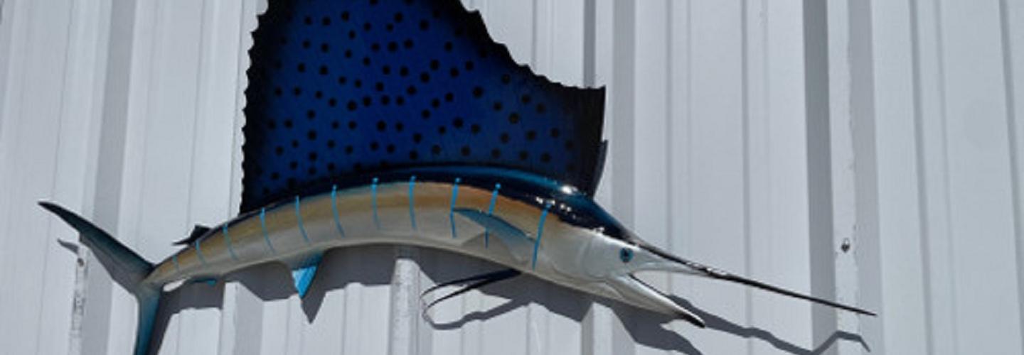 Mount This cover photo