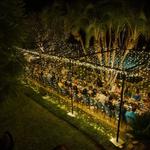 Elite Productions International - photo 2