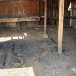 Jaguar Junk Removal - photo 5