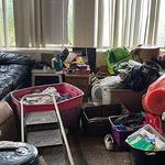 Jaguar Junk Removal - photo 8