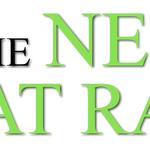 The New Flat Rate - photo 1