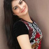 Services - Holiday Decorating Services in Rajkot