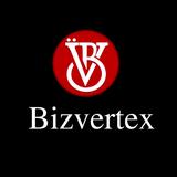 bizvertex - Marketing in Bethlehem