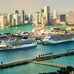 Tropical Airport Parking - photo 3