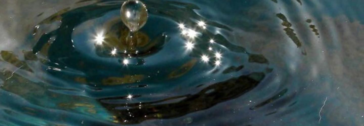 Lozier Environmental Consulting cover photo