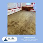 Lozier Environmental Consulting - photo 1