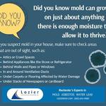 Lozier Environmental Consulting - photo 3