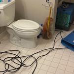 Restoration 1 of Birmingham - photo 7