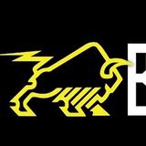 Bison Roofing - Roofing in Alamo