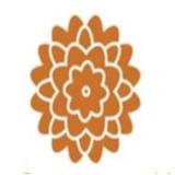 Dental Excellence Cosmetic Dentist Adelaide