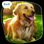 Pet Evolution Aliso Viejo - photo 1