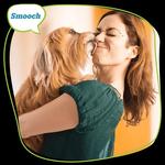 Pet Evolution Aliso Viejo - photo 4