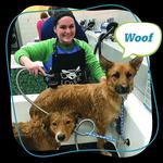 Pet Evolution Aliso Viejo - photo 5