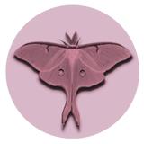 Fibroblast Facelift - Skin Care in Pasadena