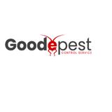 Goode Possum Removal Melbourne - Pest Control in Melbourne