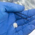 Asbestos Occupational Hygiene Services Mackay - photo 2
