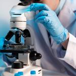 Asbestos Occupational Hygiene Services Mackay - photo 4