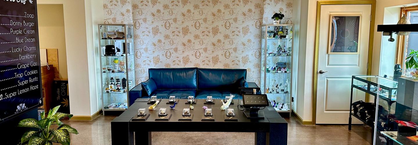 The Hive cover photo