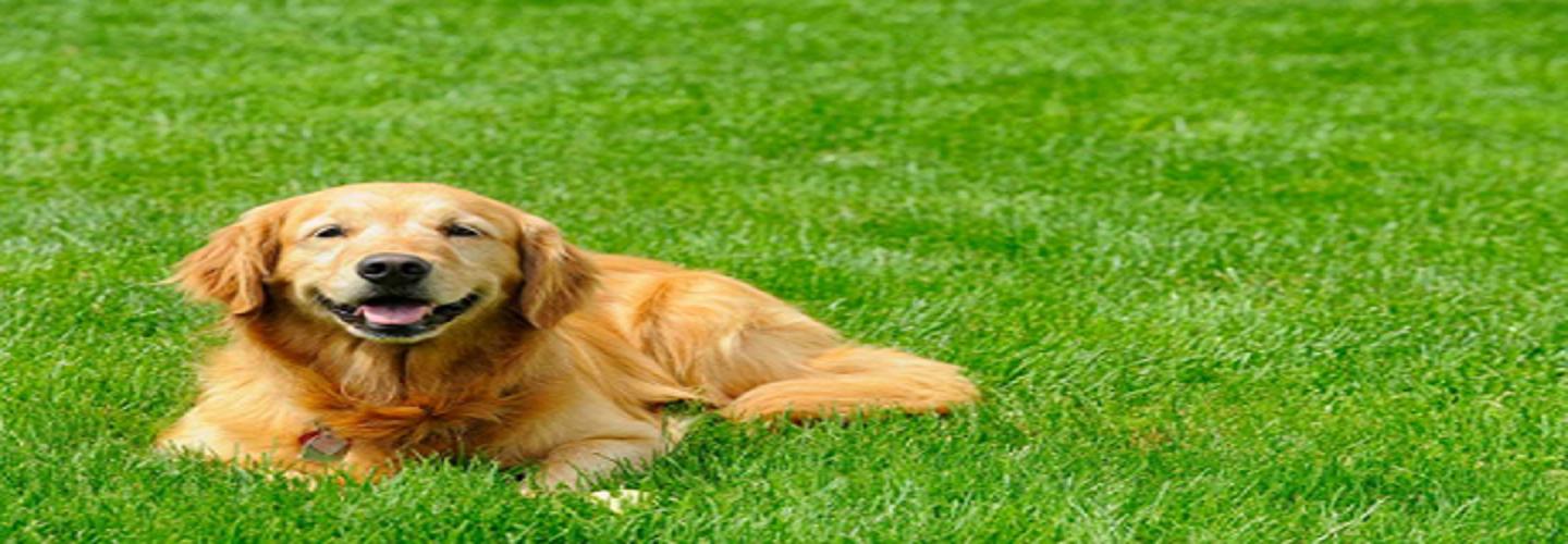 Tick Control CT cover photo