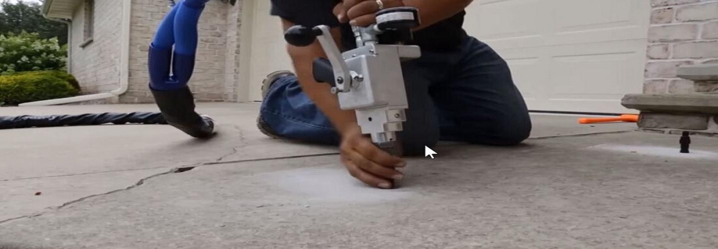 Bats Foundation Repair Of Seguin cover photo