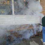 Pat's Pest Control - photo 2