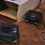 Bio-Ready Restoration - photo 2