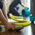 Bio-Ready Restoration - photo 5