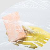 現代清潔(滅蟲)服務有限公司