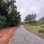 Palmetto Land Services - photo 2