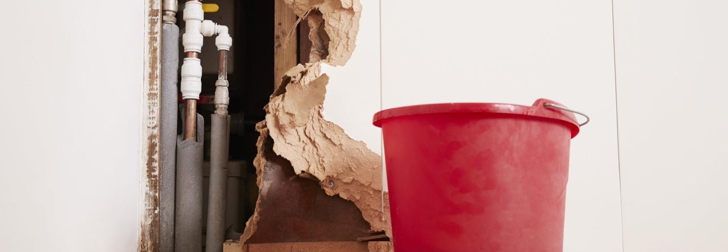 Rock City Water Damage Restoration cover photo