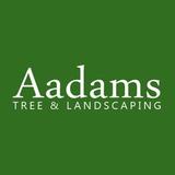 Aadams Tree Service, Trimming, & Stump Grinding Woodinville Wa - Tree Services in Woodinville