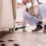 SureFire Pest Control Melbourne - Pest Control in Melbourne