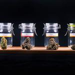 Score 420 Old Town - photo 2