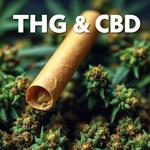 Score 420 Old Town - photo 5