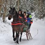 Autumn Breeze Stables - photo 1