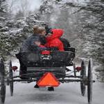 Autumn Breeze Stables - photo 2