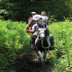 Autumn Breeze Stables - photo 3