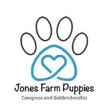 Jones Farm Puppies - Pets in Liberty