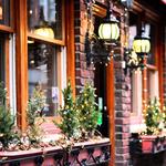 Frogs Group - photo 1