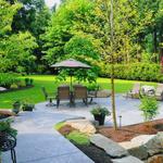 Frogs Group - photo 2