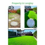 Frogs Group - photo 4